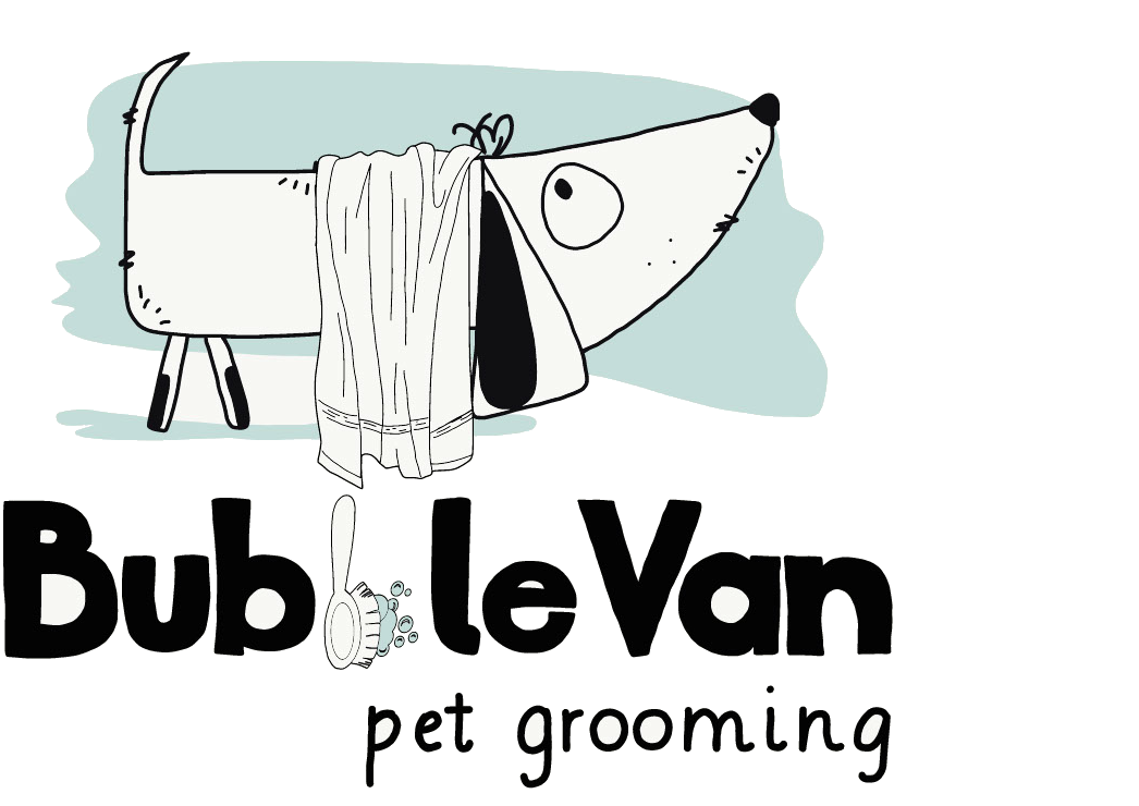 Bubble Van Logo